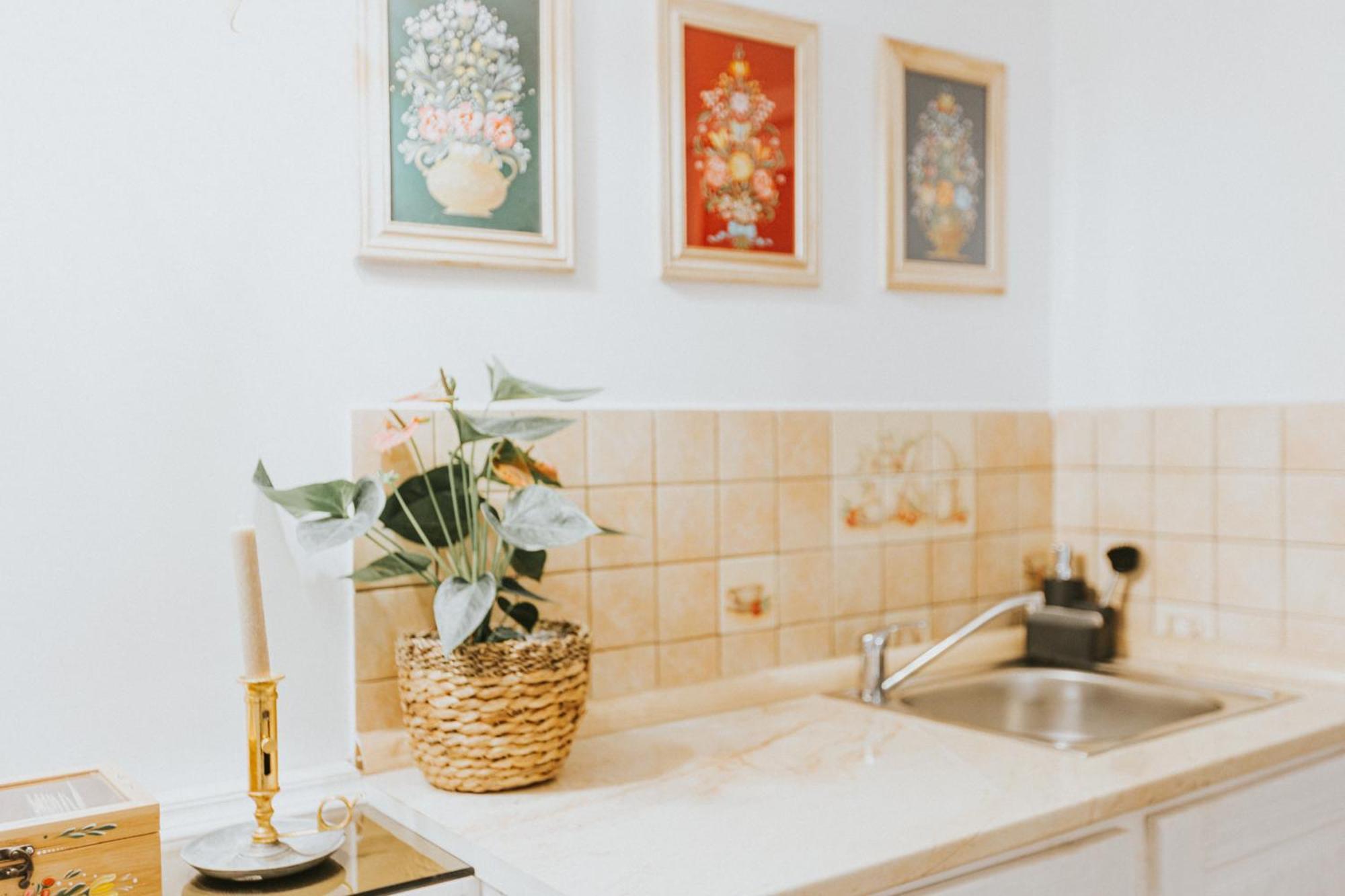 Republicii Rustic Apartament In Brasov City Center Eksteriør bilde