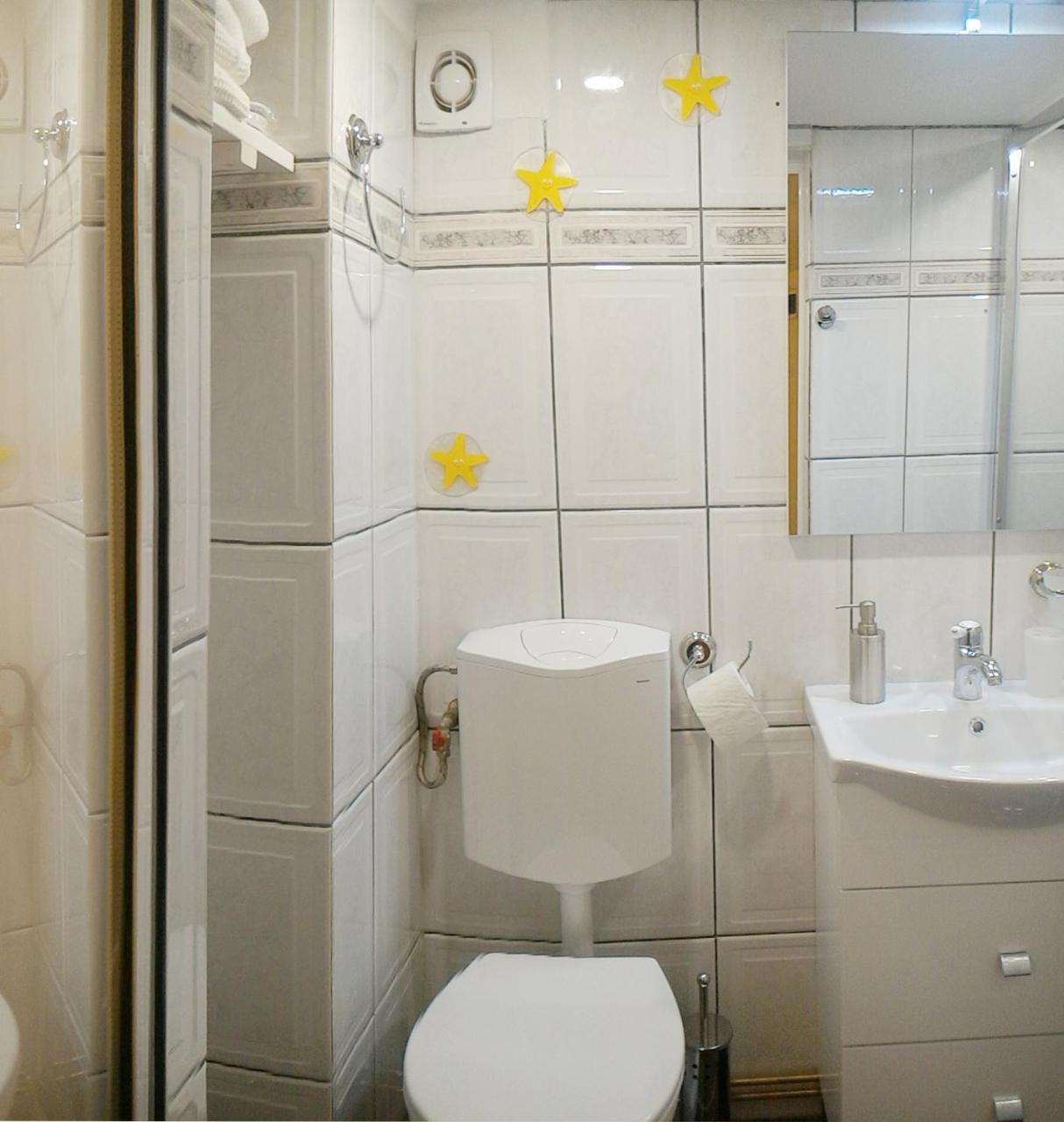 Republicii Rustic Apartament In Brasov City Center Eksteriør bilde